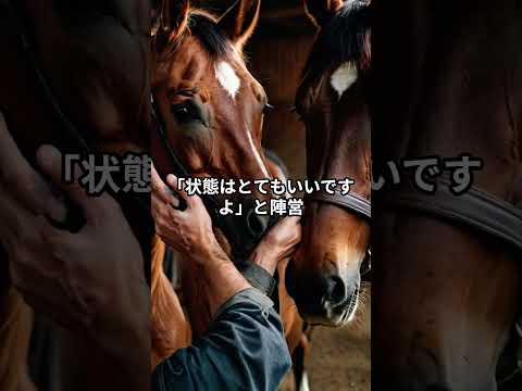 メンバー限定！2月1日の東京4R推奨馬 サムネイル