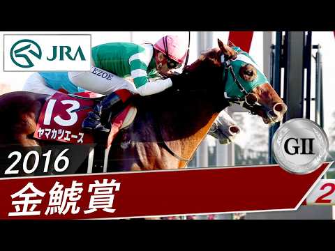 2016年 金鯱賞（GⅡ） | ヤマカツエース | JRA公式 サムネイル