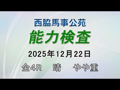 能力検査 2025年12月22日(月) 西脇馬事公苑 サムネイル