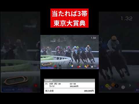 東京大賞典で人生を捲るべく11倍のワイドに30万ぶっこんだ競馬 サムネイル