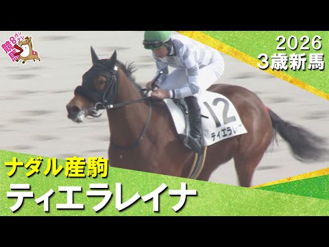 ナダル産駒ティエラレイナが接戦を制しデビュー勝ち！岩田望来騎手「馬の力を信じていました」2026年2月1日(日)３歳新… サムネイル