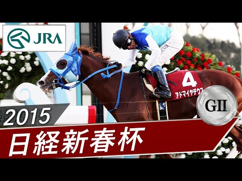 2015年 日経新春杯（GⅡ） | アドマイヤデウス | JRA公式 サムネイル