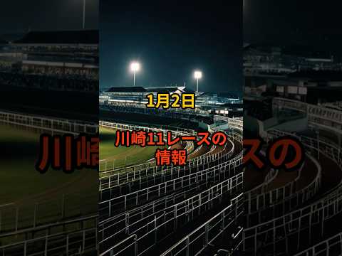 メンバー限定！1月2日の川崎11R推奨馬 サムネイル