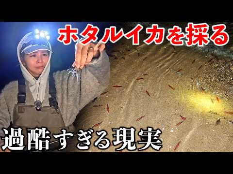 【過酷】ホタルイカ採りに富山湾へ行ったら4日間の大変すぎる撮影になった サムネイル