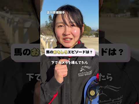 騎手の職業病は◯◯でした🤣 古川奈穂 騎手に、競走馬とのエピソードを聞いてみました🎤 競馬 カンテレ競馬 インタビュー… サムネイル