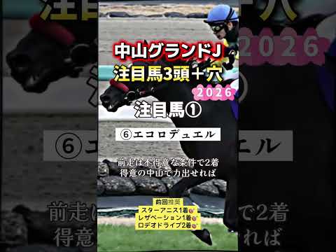 中山グランドジャンプ 競馬 shorts サムネイル