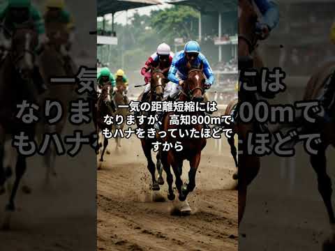 12月24日の園田8R推奨馬 サムネイル