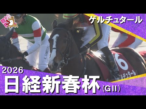 2026年日経新春杯(ＧⅡ) ゲルチュタール　実況：川島壮雄　【カンテレ公式】 サムネイル