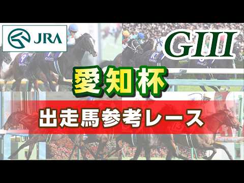 【参考レース】2026年 愛知杯｜JRA公式 サムネイル