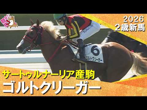 サートゥルナーリア産駒ゴルトクリーガーが断然人気に応えてデビュー勝ち！松山騎手「強い競馬だったと思う」2026年10月…