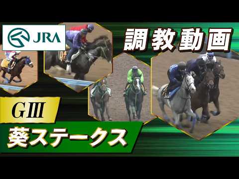 【調教動画】2026年 葵ステークス｜JRA公式 サムネイル