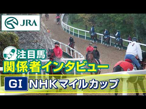 【注目馬 関係者インタビュー】2026年 NHKマイルカップ｜JRA公式 サムネイル