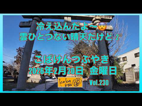 2026年2月20日　金曜日　こばけんつぶやき サムネイル