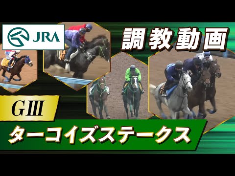 【調教動画】2025年 ターコイズステークス｜JRA公式 サムネイル