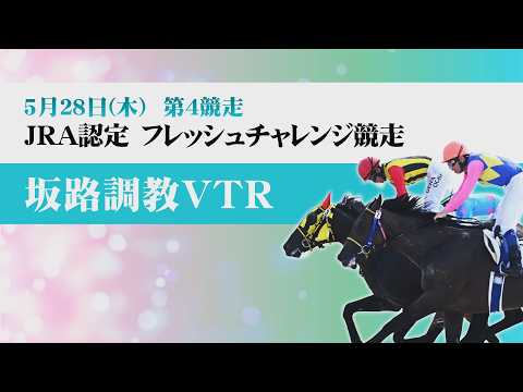 【坂路調教動画】5/28 第4Rフレッシュチャレンジ競走【門別競馬】 サムネイル