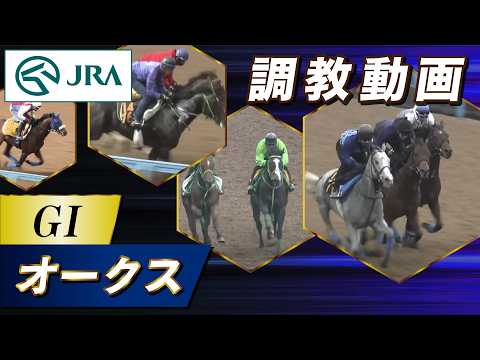 【調教動画】2026年 オークス｜JRA公式 サムネイル