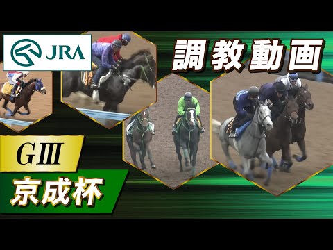 【調教動画】2026年 京成杯｜JRA公式 サムネイル