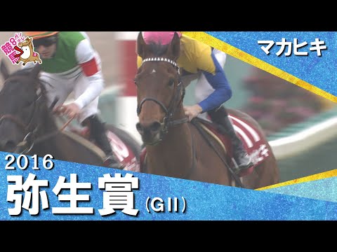「やはり三強だ！」2016年弥生賞(ＧⅡ) マカヒキ【カンテレ公式】 サムネイル