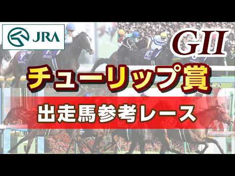 【参考レース】2026年 チューリップ賞｜JRA公式 サムネイル