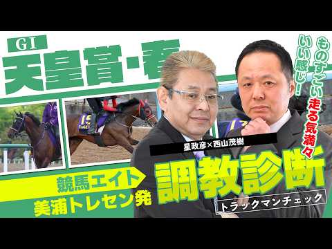 【競馬エイト調教診断】天皇賞・春（星政彦＆西山茂樹） サムネイル