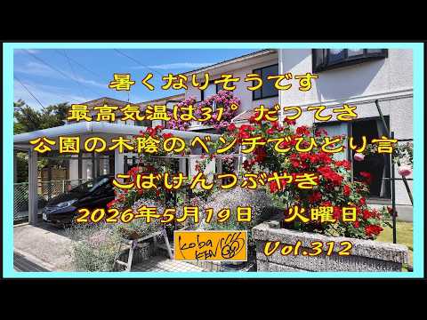 2026年5月19日　火曜日 こばけんつぶやき サムネイル