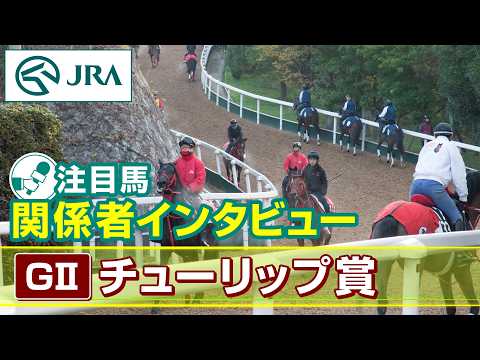 【注目馬 関係者インタビュー】2026年 チューリップ賞｜JRA公式 サムネイル