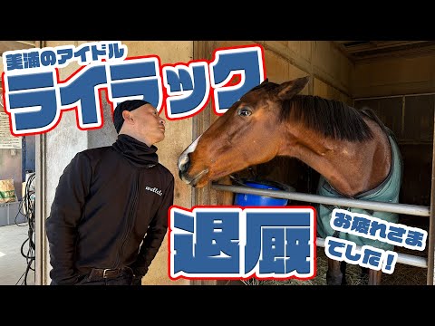 【美浦のアイドル】ライラックが退厩！お疲れさまでした！ サムネイル
