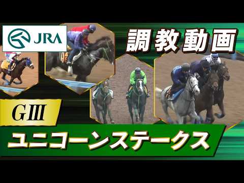 【調教動画】2026年 ユニコーンステークス｜JRA公式 サムネイル