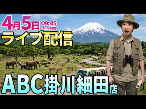 得意だったABCさん＆静岡で復活を誓う【パチンコ人気台】客レベルが日に日に上がるABCさんでガチ実戦 ︎パチンコ パチ… サムネイル