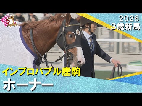 米国産馬ホーナーがデビュー勝ち！復帰後初勝利の浜中騎手「一個勝つと気分が違ってきますからね」2026年1月24(土)３… サムネイル