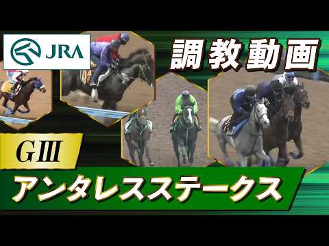 【調教動画】2026年 アンタレスステークス｜JRA公式 サムネイル