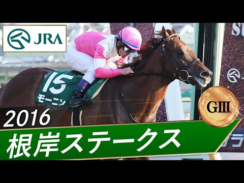 2016年 根岸ステークス（GⅢ） | モーニン | JRA公式 サムネイル