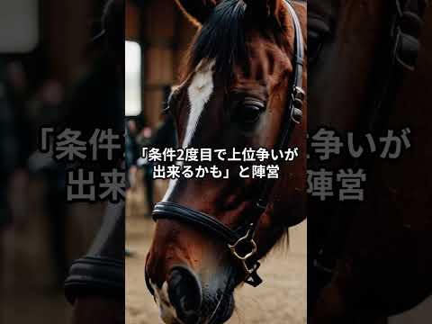 メンバー限定！12月28日の中山2R推奨馬 サムネイル