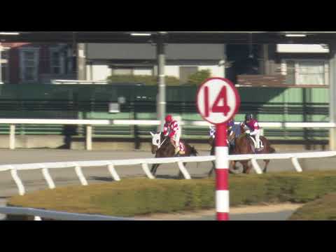 2026年2月5日浦和競馬能力調教試験 サムネイル