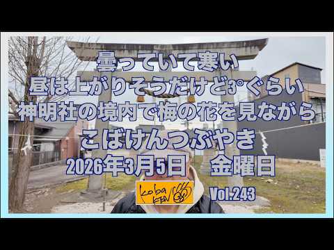 2026年3月6日 金曜日 こばけんつぶやき サムネイル