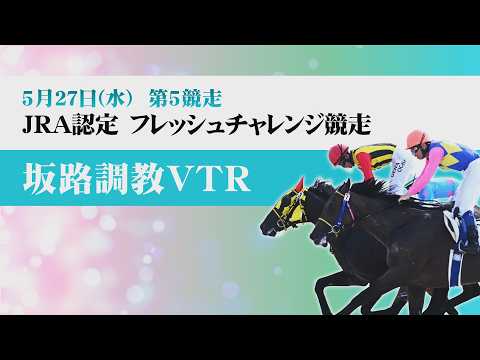 【坂路調教動画】5/27 第5Rフレッシュチャレンジ競走【門別競馬】 サムネイル