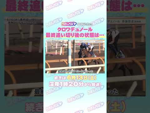 宝塚記念 GⅠ トレセン直撃取材！ 競馬 宝塚記念 クロワデュノール 斉藤崇史 調教師