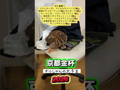 京都金杯 競馬 shorts サムネイル