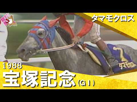 【長距離王とマイル王が激突】1988年宝塚記念 (ＧⅠ) タマモクロス【カンテレ公式】 サムネイル
