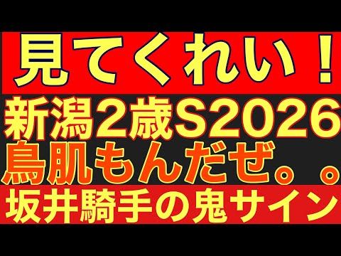 【新潟2歳ステークス2026サイン②】「超高確率サイン」の該当馬とは?坂井騎手だけを見ろ!競馬 新潟2歳ステークス