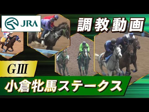【調教動画】2026年 小倉牝馬ステークス｜JRA公式 サムネイル