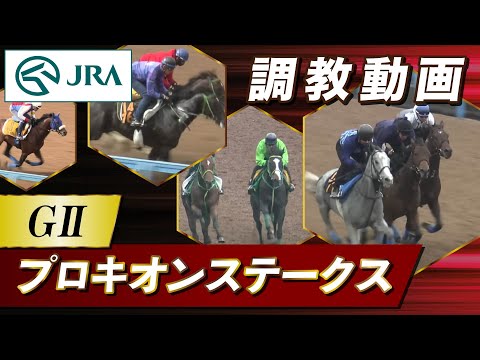 【調教動画】2026年 プロキオンステークス｜JRA公式 サムネイル