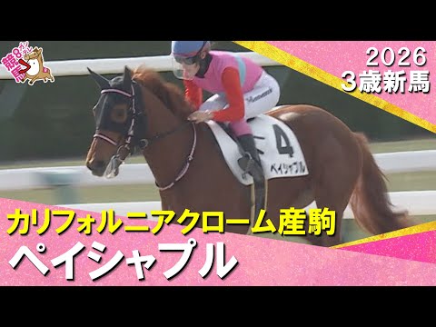 年女・永島まなみ騎手が2026年初勝利「伸びしろはあると思います」ペイシャプルが５馬身差で圧勝！2026年1月4日(日… サムネイル