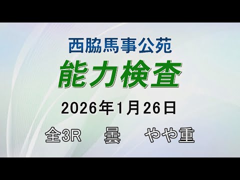 能力検査 2026年1月26日(月) 西脇馬事公苑 サムネイル