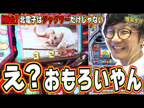 【新台これが本当のパチスロ】これは打って欲しいな【アニマルスロットドッチ】日直島田 サムネイル