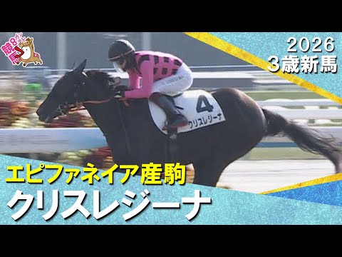 ファンディーナの子クリスレジーナが逃げて快勝！鮫島克駿騎手「無事にいってほしいですね」2026年1月18日(日)３歳新… サムネイル