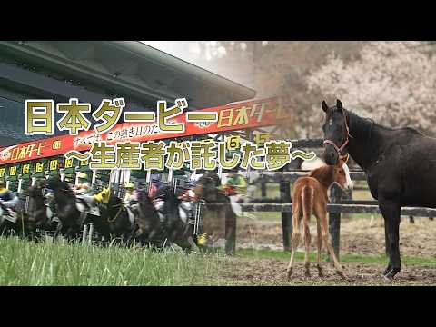 日本ダービー ～生産者が託した夢～ | ダノンキングリーとメイショウテンゲン | JRA公式 サムネイル