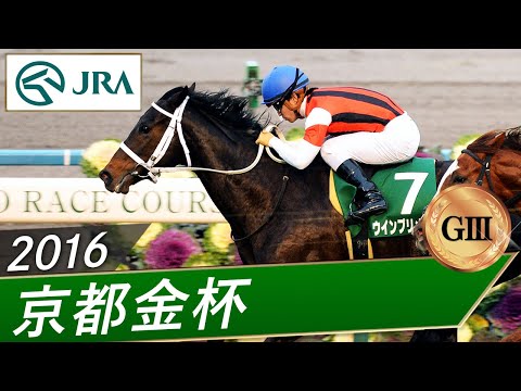 2016年 京都金杯（GⅢ） | ウインプリメーラ | JRA公式 サムネイル
