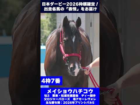【日本ダービー2026枠順確定】出走各馬の「表情」をお届け！ サムネイル