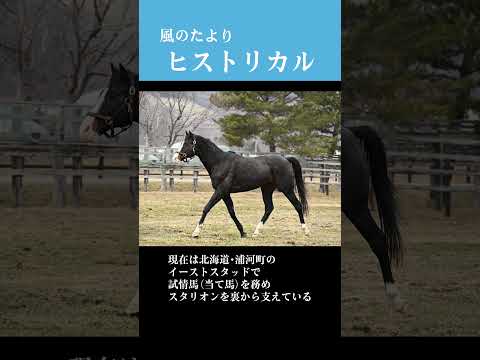 【風のたより】ヒストリカル サムネイル